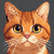 Katt